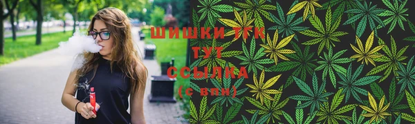 шишки Бронницы